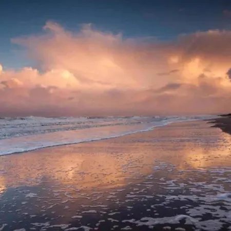 By Dutch Coast With Dune Views *