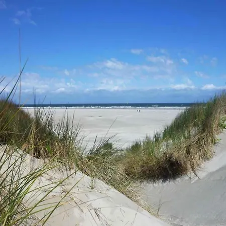Strandslag 203 With Dunes View Balcony * Julianadorp