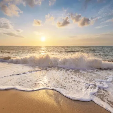 By Dutch Coast With Dune Views