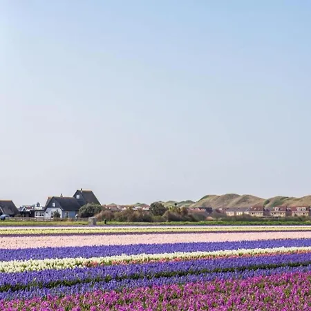 By Dutch Coast With Dune Views Apartment