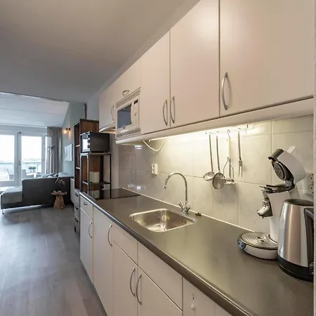 公寓 By Dutch Coast With Dune Views *