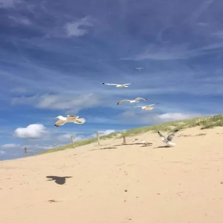 公寓 By Dutch Coast With Dune Views *