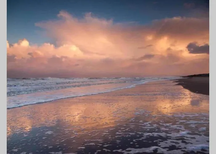 By Dutch Coast With Dune Views *