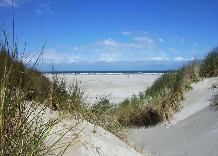 By Dutch Coast With Dune Views * Julianadorp