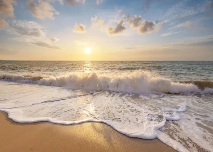 By Dutch Coast With Dune Views