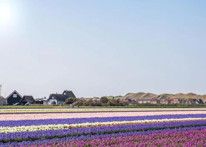 By Dutch Coast With Dune Views Apartman