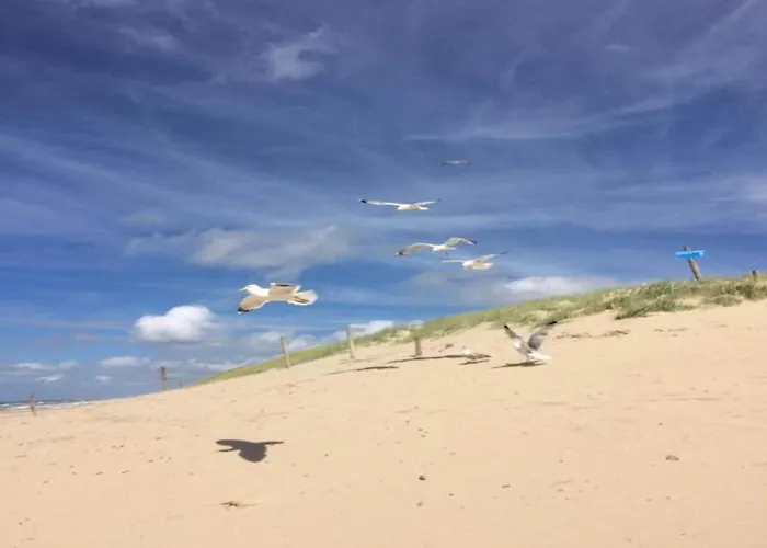 Apartman By Dutch Coast With Dune Views *