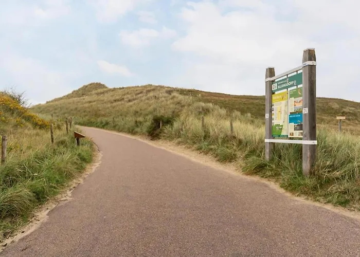 By Dutch Coast With Dune Views *